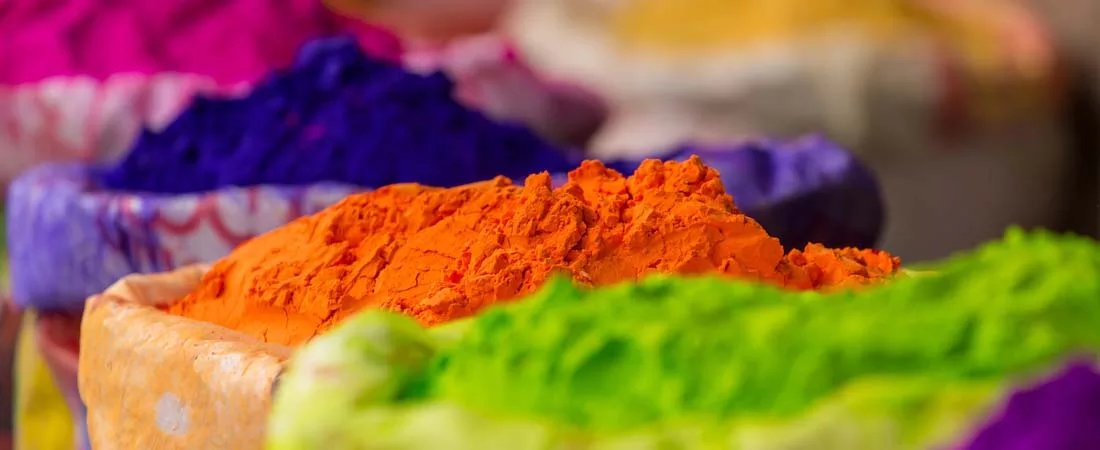 Happy Holi, la fête des couleurs au Rajasthan - 11 jours