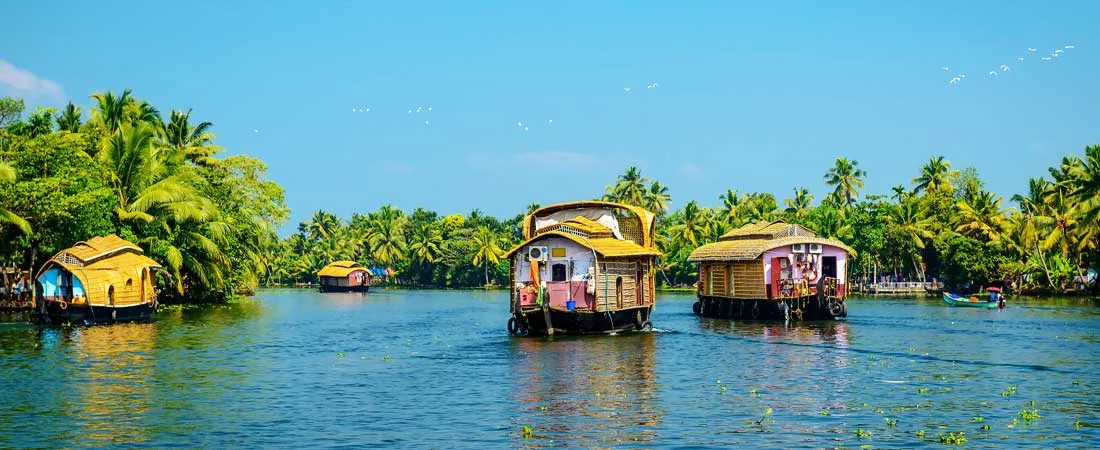 Tamil Nadu, Kerala et Backwaters - 14 jours